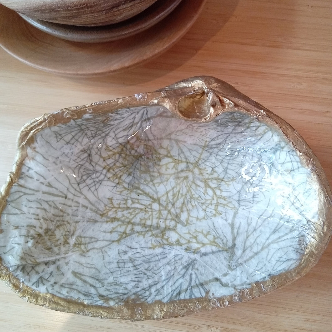 7in large clam shell with gold accent