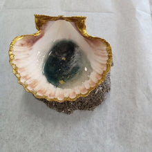 Load image into Gallery viewer, Oyster Shell ocean decor
