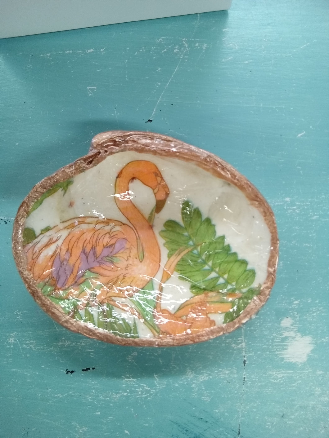 Flamingo in a Clamshell